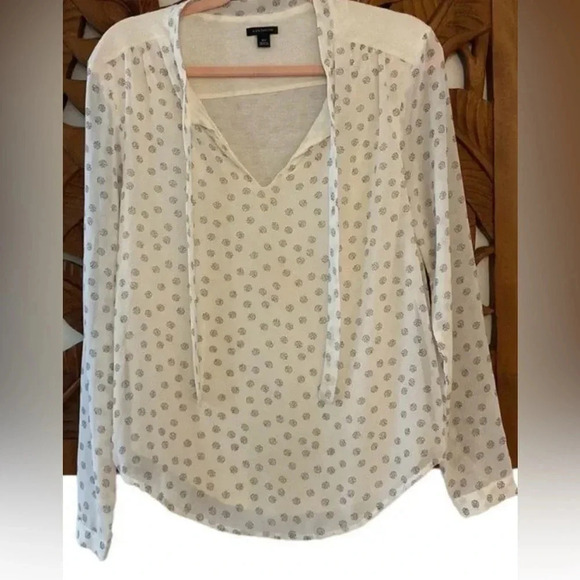 Ann Taylor Woman’s Corpcore Cream Long Sleeve V-Neck Chiffon Blouse Size Medium - Picture 5 of 9